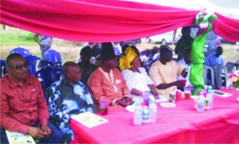 Cricket Development Gets Boost With Ajaelu’s Cup ..As State Immigration, Prisons Comptrollers Laud Effort